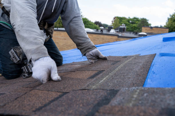 Best Residential Roof Replacement  in Trevorton, PA