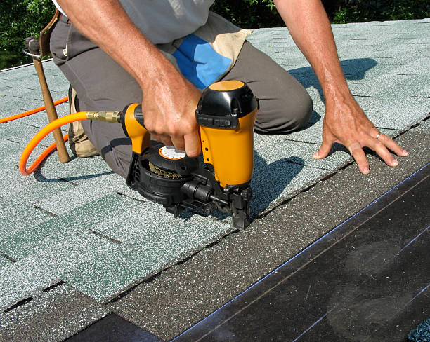 Best Roof Gutter Cleaning  in Trevorton, PA