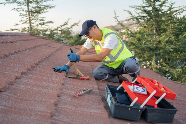 Best Roof Maintenance Services  in Trevorton, PA