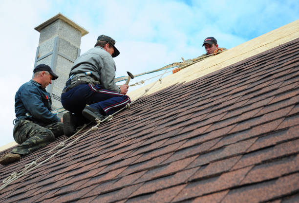 Best Best Roofing Contractors  in Trevorton, PA